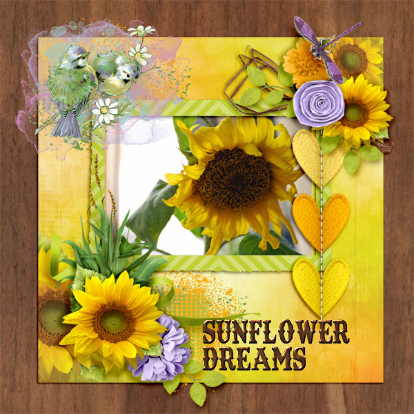 Sunflower-dreams