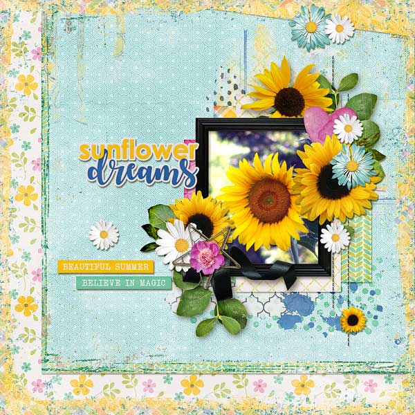 Sunflower Dreams