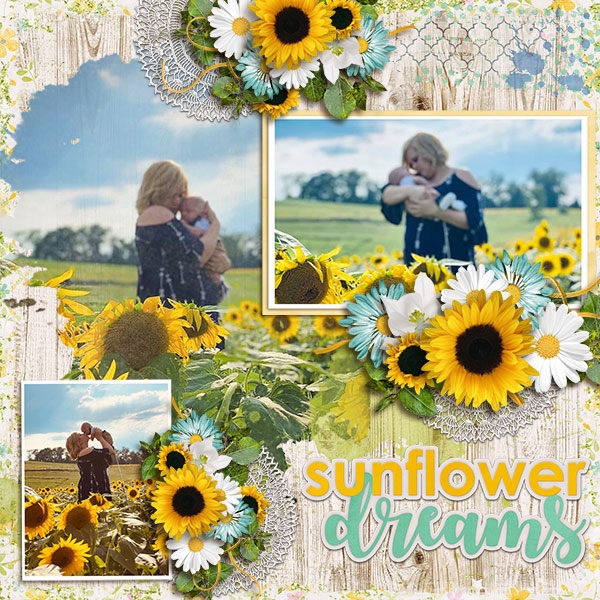 Sunflower Dreams