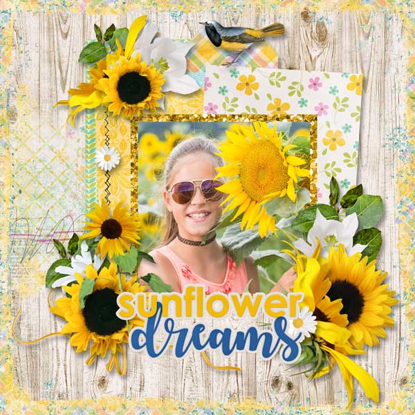 Sunflower Dreams