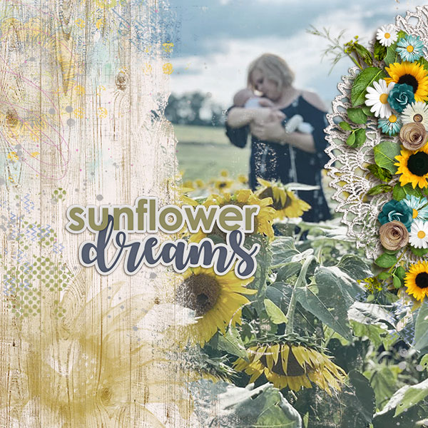 Sunflower Dreams