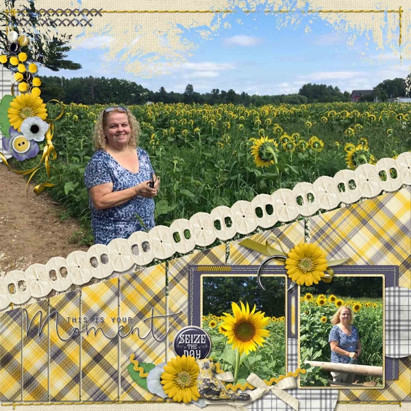 Sunflower Festival
