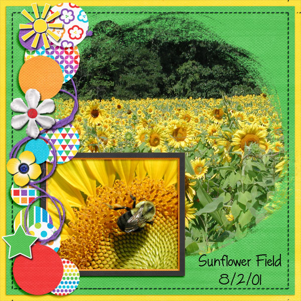 Sunflower Field