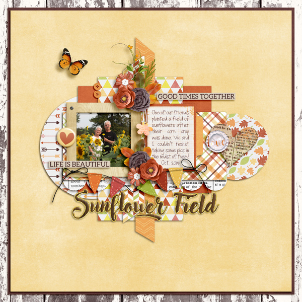 Sunflower Field