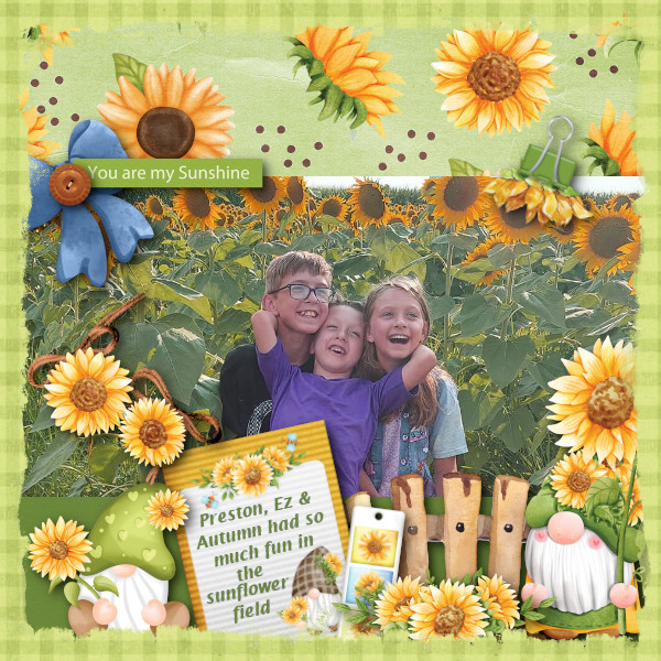 Sunflower Field