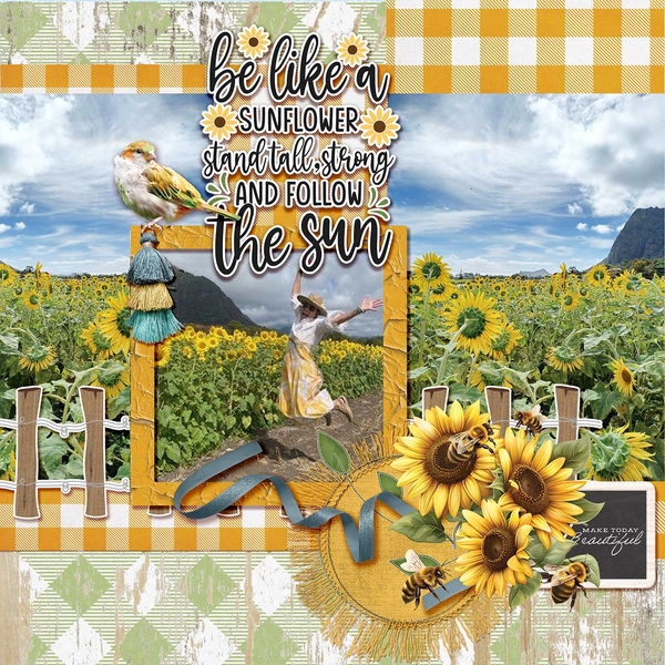 Sunflower Field