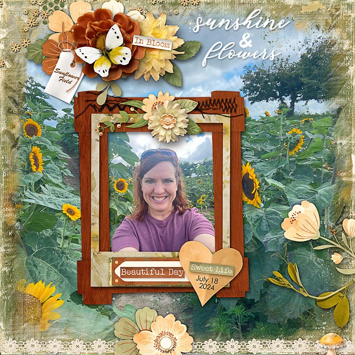 Sunflower Field