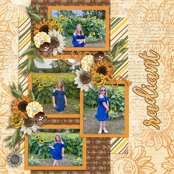 Sunflower Fields-GingerBread Ladies FP.jpg