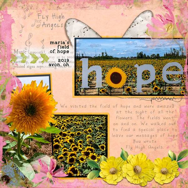 sunflower fields of hope