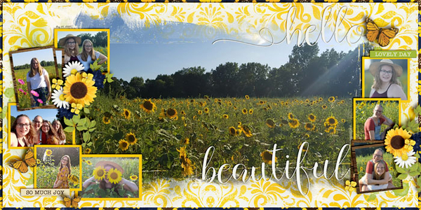 Sunflower Fields
