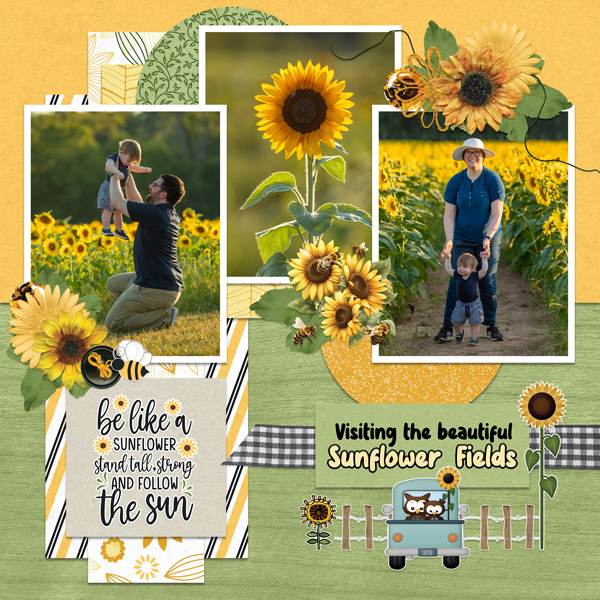 Sunflower Fields