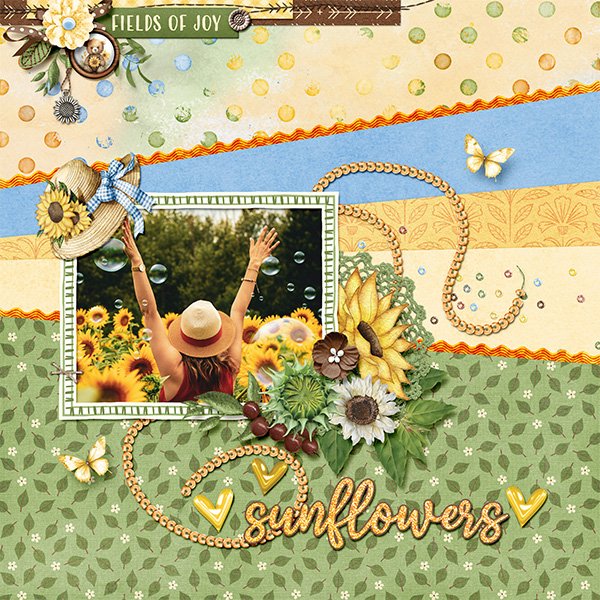 Sunflower fields
