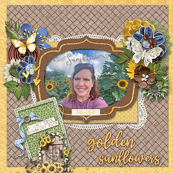 Sunflower Fields