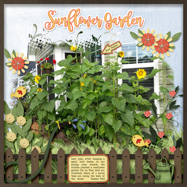 Sunflower Garden
