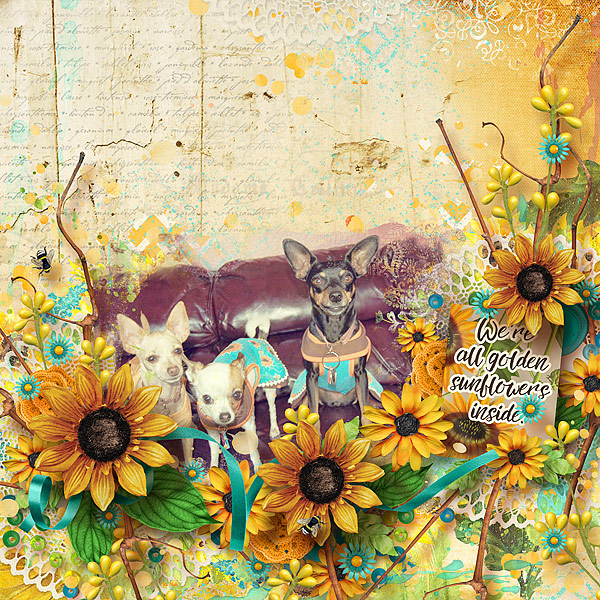 Sunflower Girls