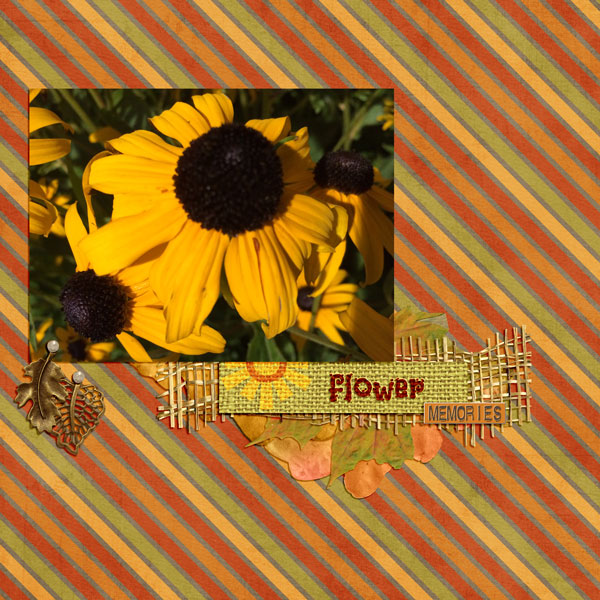 Sunflower Memories