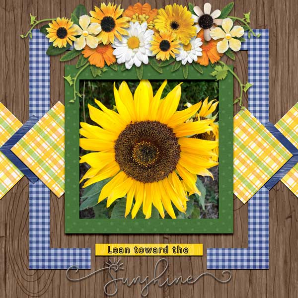 sunflower mm