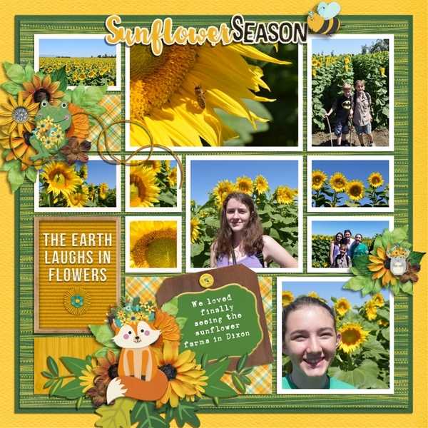 Sunflower Season