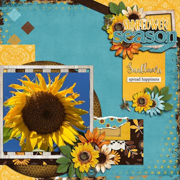 Sunflower Season