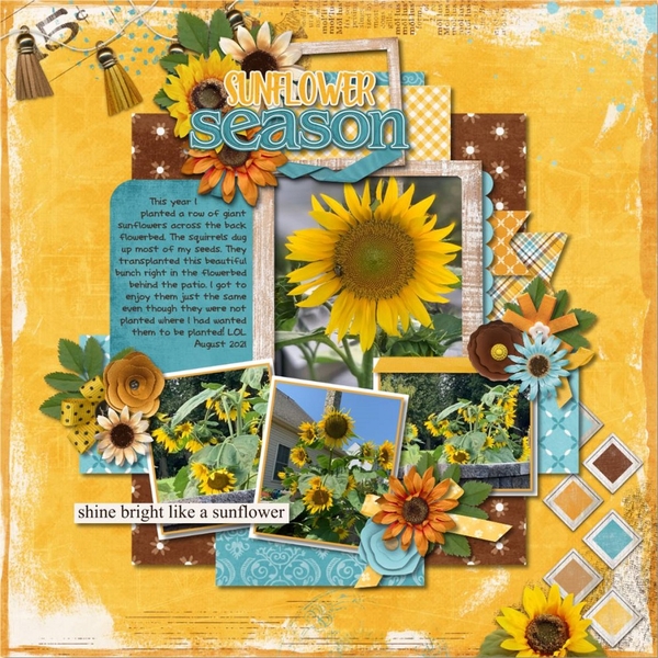 Sunflower Season