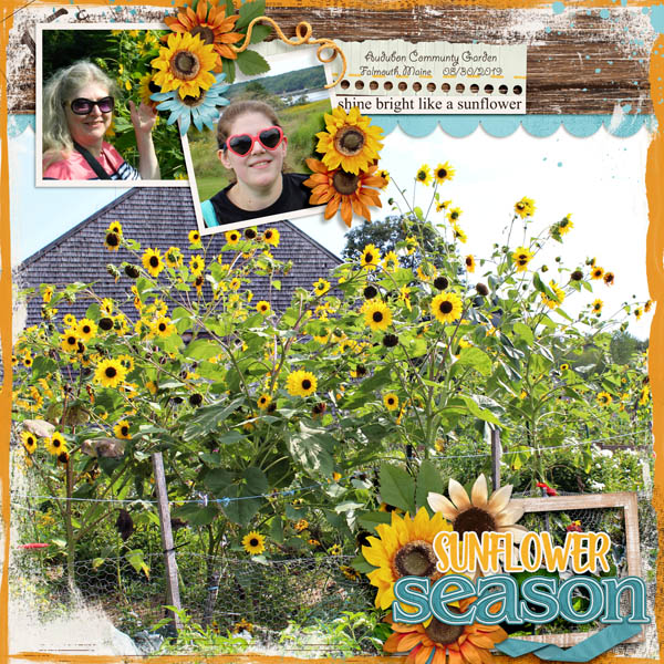 Sunflower Season
