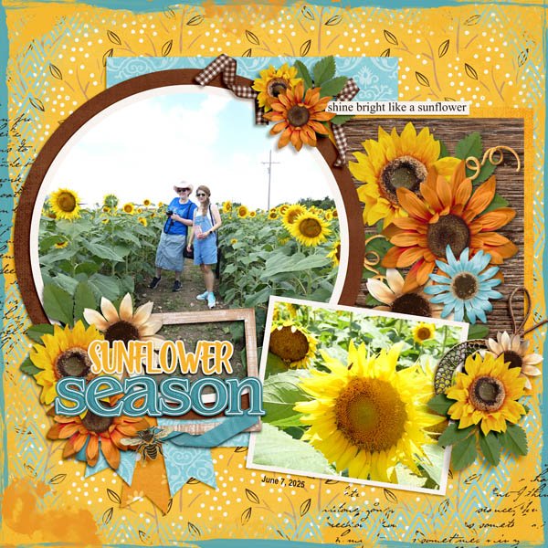 Sunflower Season
