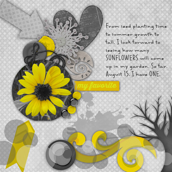 Sunflower Show