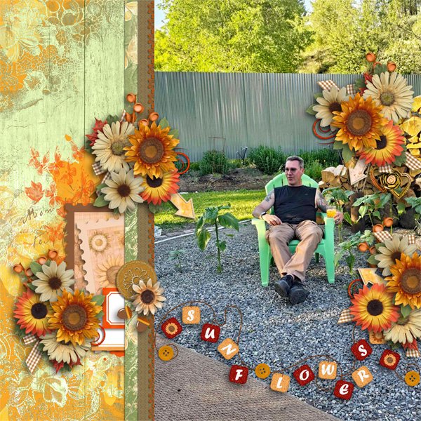 Sunflower Stories