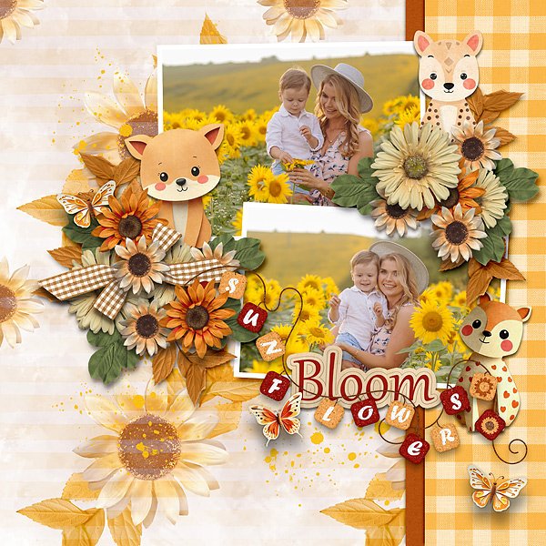 sunflower stories