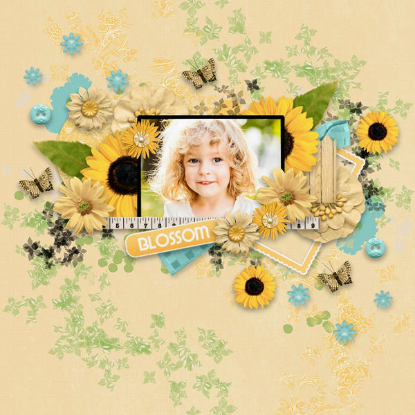 Sunflower Summer