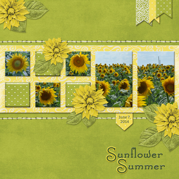 Sunflower Summer