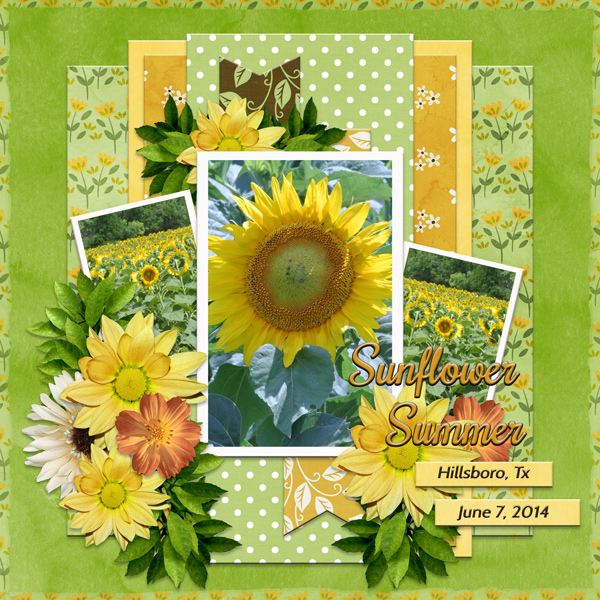 Sunflower Summer