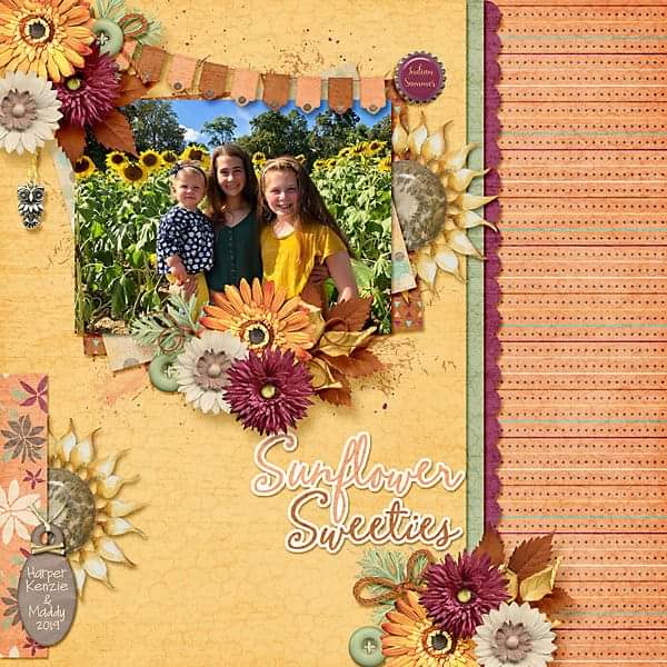 Sunflower Sweeties