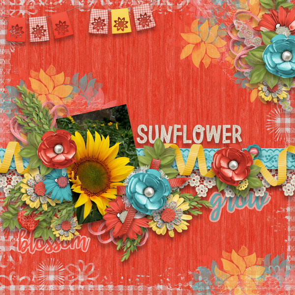 Sunflower