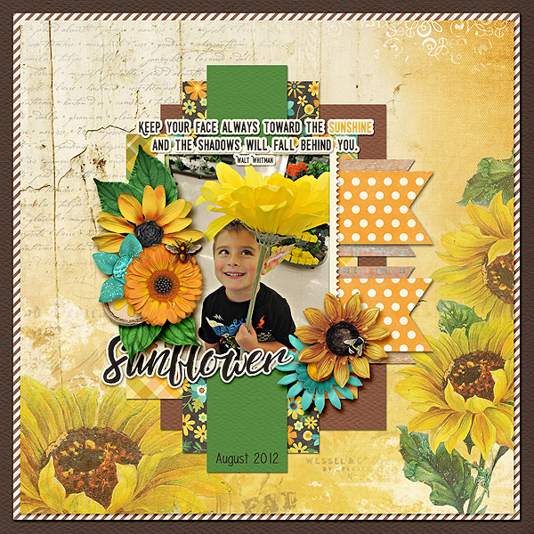 Sunflower