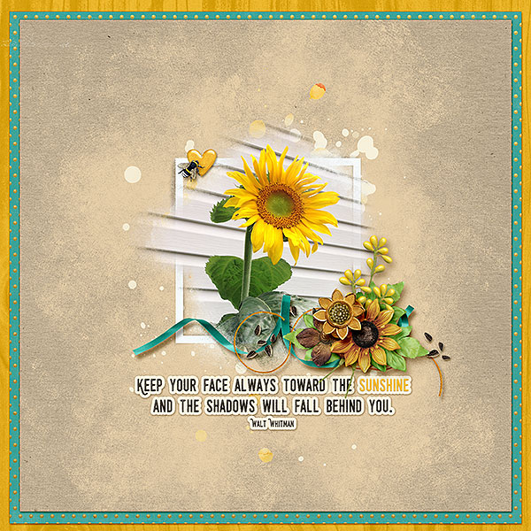 sunflower