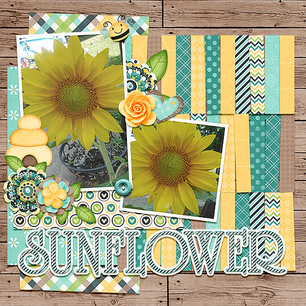 Sunflower