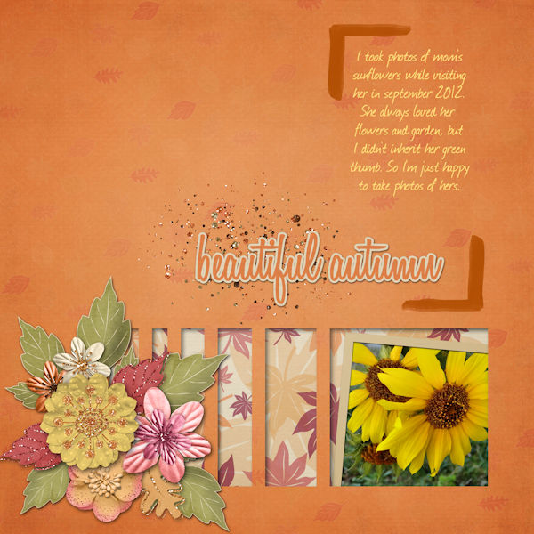 Sunflower