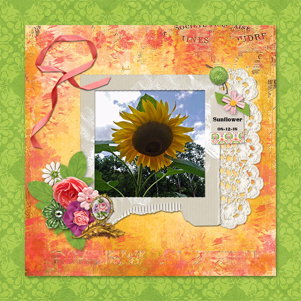 Sunflower