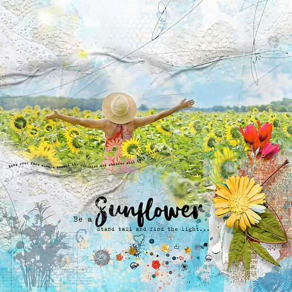 Sunflower