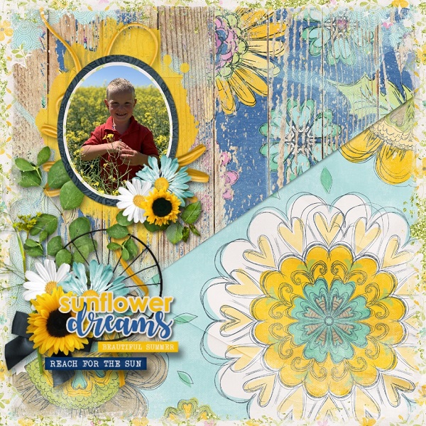 Sunflower