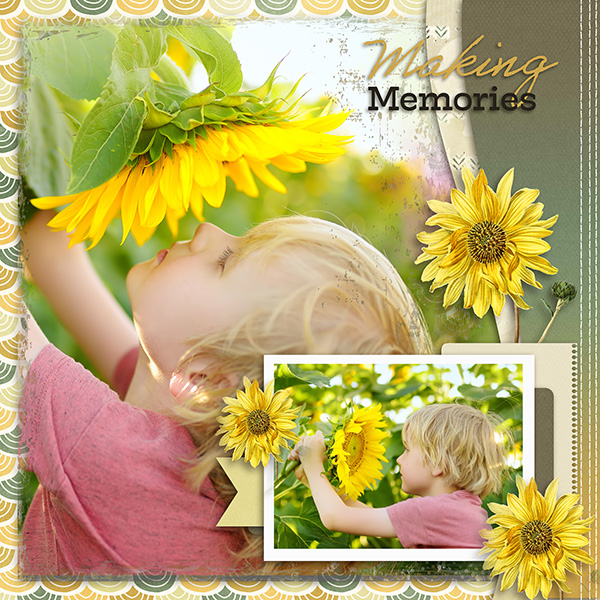 Sunflower