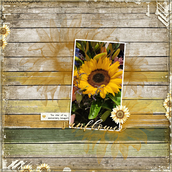 Sunflower