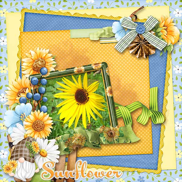 Sunflower