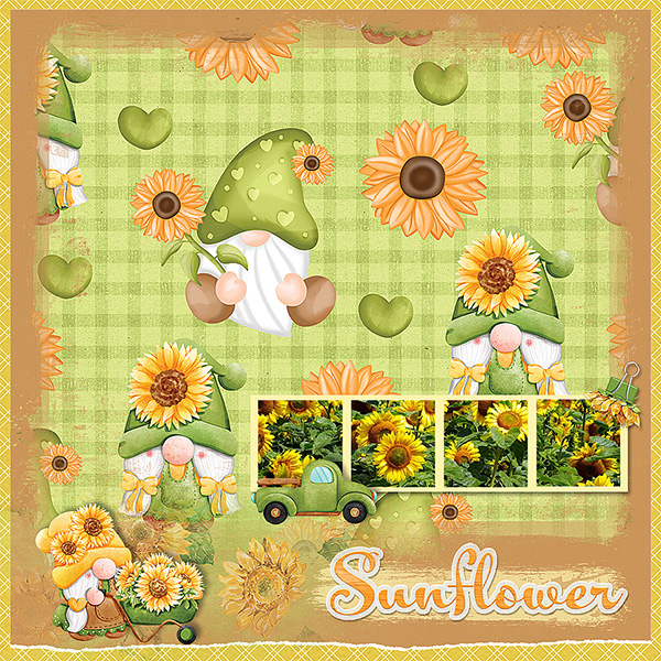 Sunflower