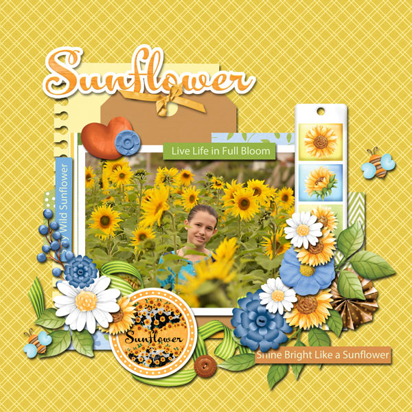 sunflower