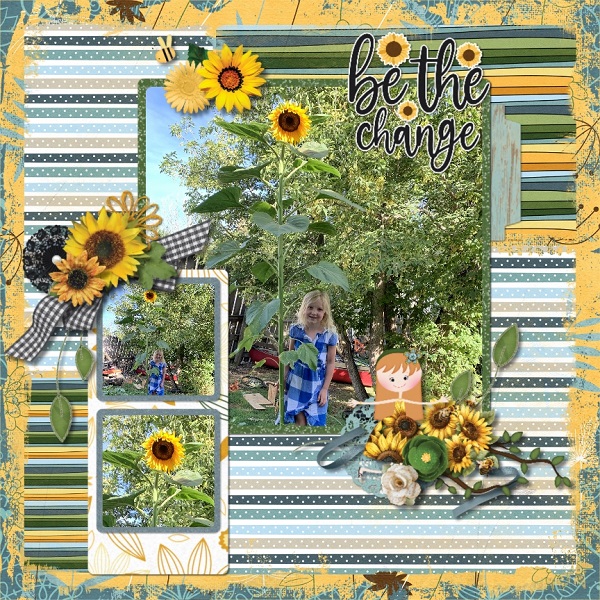Sunflower
