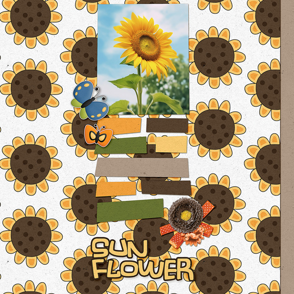 Sunflower