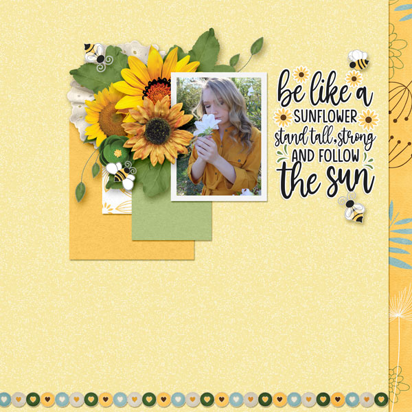 Sunflower