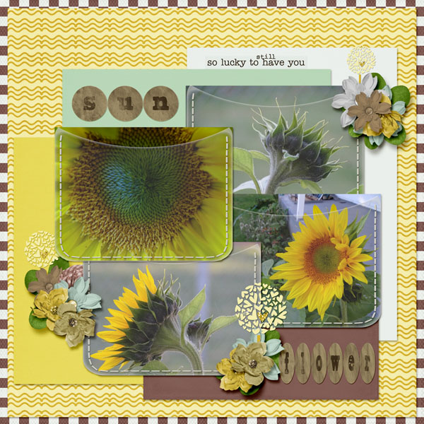 sunflower_small
